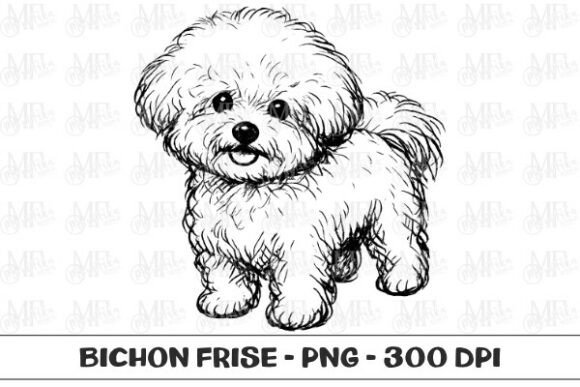 Bichon Frise Dog Sketch PNG: A Designer's Guide