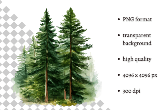 Enchanting Watercolor Woodland Pine Tree Clipart
