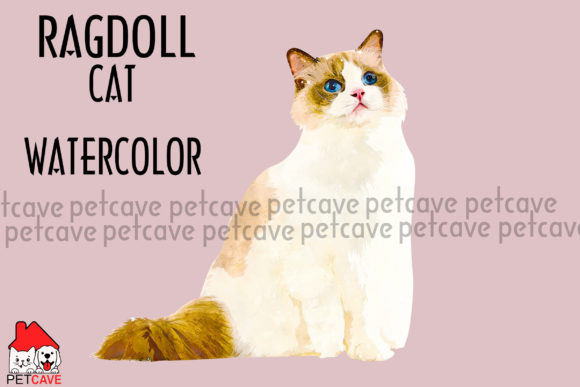 Ragdoll Cat Watercolor: A Designer's Guide to a Purrfect Creative Asset